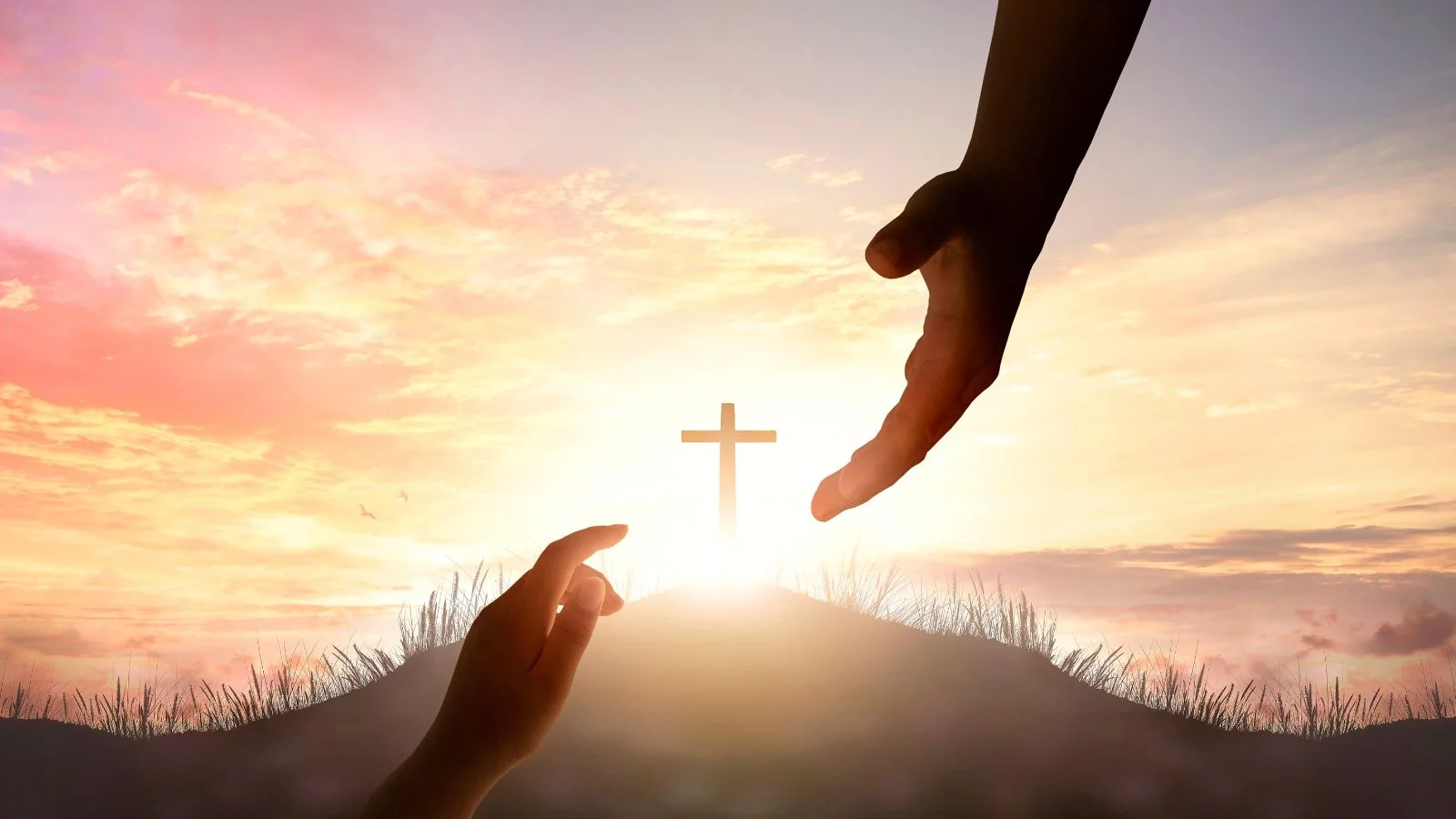 the lord is my shepherd i shall not want 1